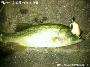 ¥Ö¥é¥Ã¥¯¥Ð¥¹