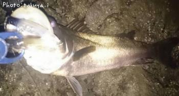 �����Х�