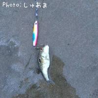 �����ե�