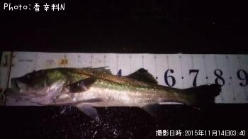 �����Х�