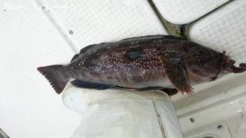 �����ʥ�