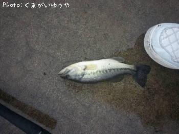 �顼���ޥ���