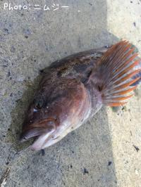 �����ʥ�