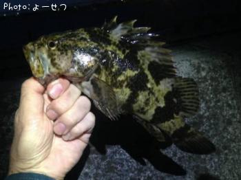 �����Υ���Х�