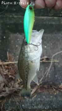 �֥�å��Х���