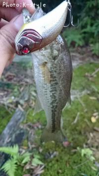 ¥Ö¥é¥Ã¥¯¥Ð¥¹¡¡