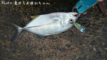 ��å�����