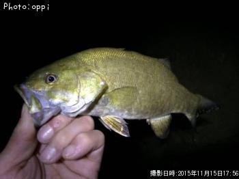 �֥�å��Х�