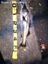 £Ó£å£á£Â£á£ó£ó