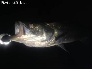 �����Х�