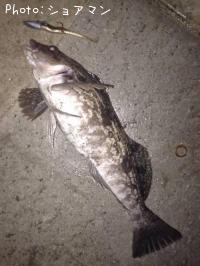 �����ʥ�