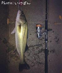 �����Х�