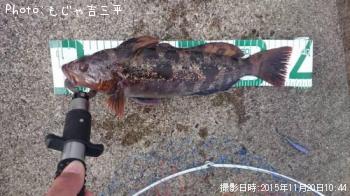 �����ʥ�