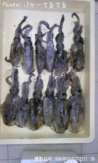 ¥¢¥ª¥ê¥¤¥«