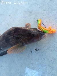 �����ʥ�