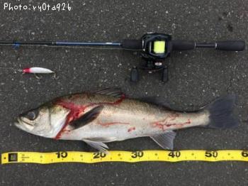 �����Х�