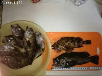 ��Х롢������