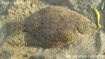 ¥¤¥·¥¬¥ì¥¤