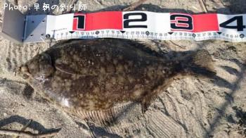 �ޥ����쥤