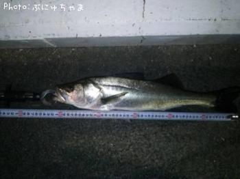 �����Х�