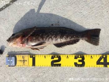 �����ʥ�