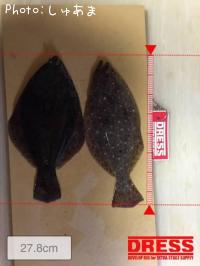 ���쥤���ҥ��