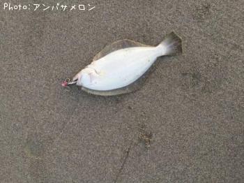 �ҥ��