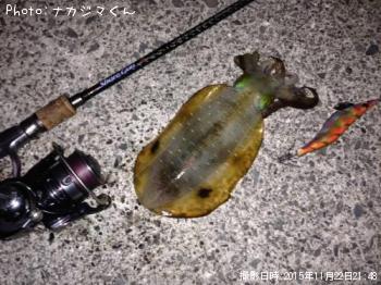 �����ꥤ��