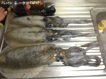 ¥¢¥ª¥ê¥¤¥«