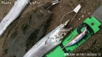 ��������������ҥ��