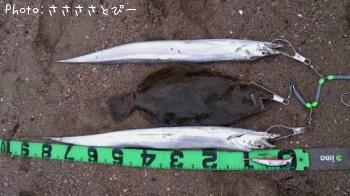 ��������������ҥ��