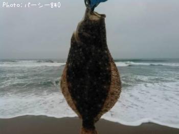 �ҥ��ʥ�����