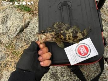 �����Υ���Х�