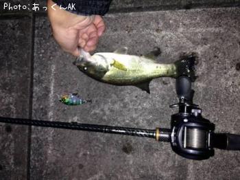 �֥�å��Х�