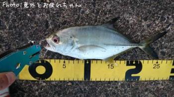 ��å�����