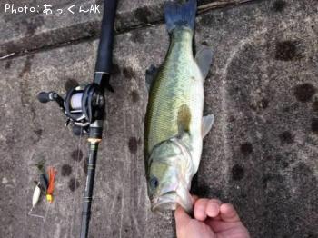 �֥�å��Х�