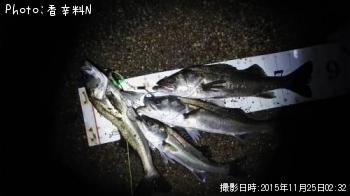 �����Х�