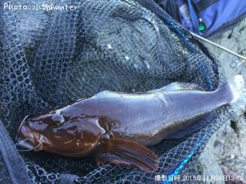 �����ʥ�