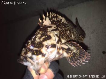 ²«¶â¥à¥é¥½¥¤