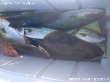 �ҥ��ȥ��ʥ��ȥۥ��ܥ��ȥ���