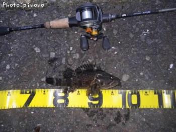 ¥¿¥±¥Î¥³¥á¥Ð¥ë