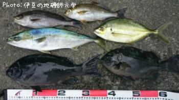 ¸ýÂÀ¥á¥¸¥Ê