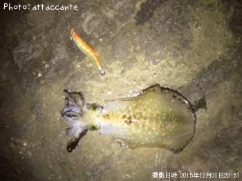 �����ꥤ��