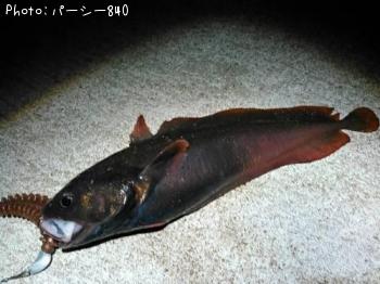 �������������ʥ�