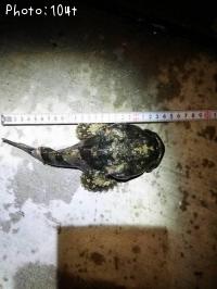 ¥±¥à¥·¥«¥¸¥«