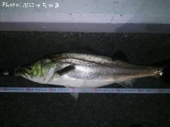 �����Х�