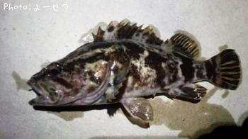 ¥¿¥±¥Î¥³¥á¥Ð¥ë