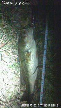 �֥�å��Х�