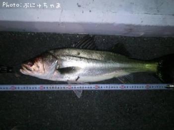 �����Х�