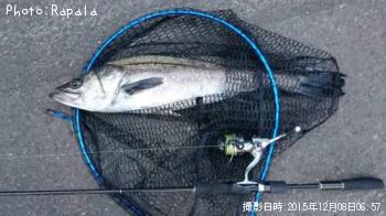 �����Х�